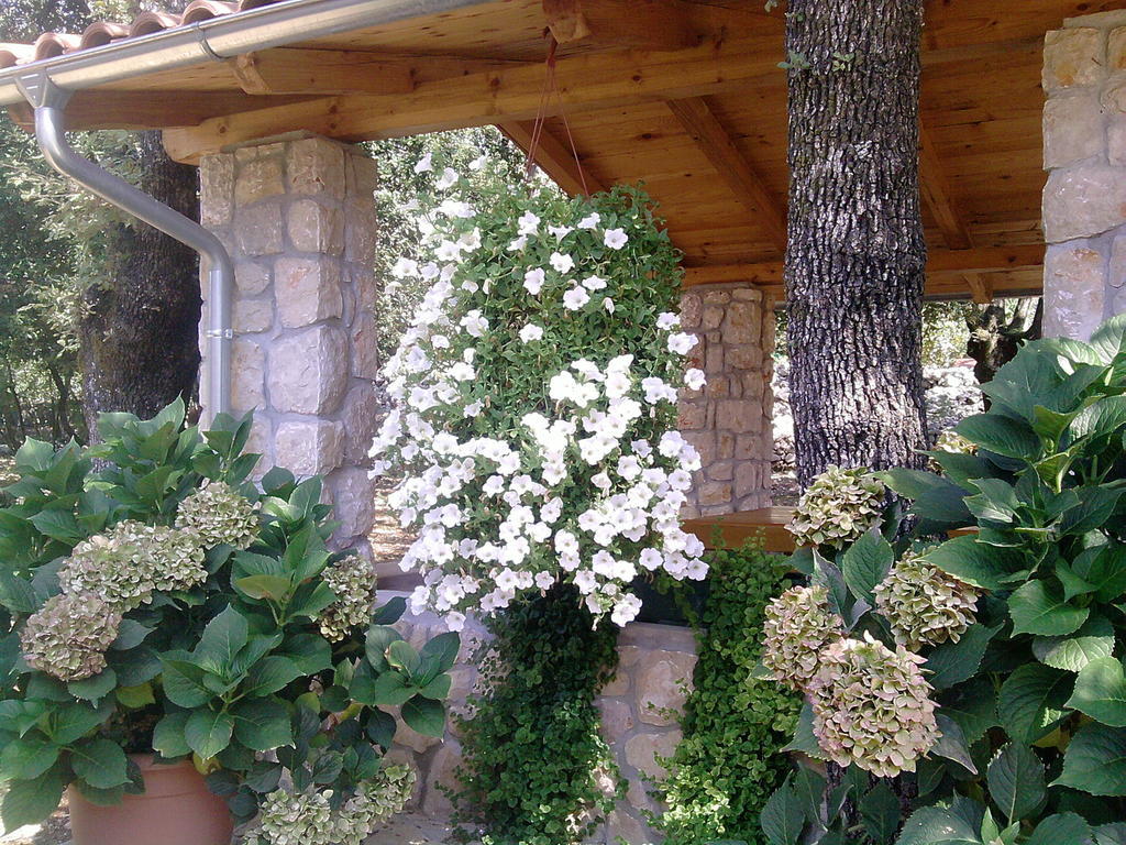Apartments Barbara Pinezići Exterior foto